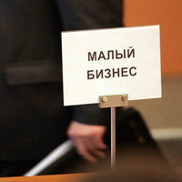 Малый бизнес перевели с программ на проекты