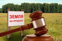 Алтайская прокуратура добилась возвращения земельных участков на 75 млн рублей, которые глава района продал по заниженной стоимости