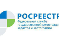 РОСРЕЕСТР ПОДЕЛИТСЯ СВЕДЕНИЯМИ О СРО АРБИТРАЖНЫХ УПРАВЛЯЮЩИХ И ОЦЕНЩИКОВ СО ВСЕМИ ЗАИНТЕРЕСОВАННЫМИ ЛИЦАМИ