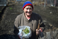 Садоводов обязали зафиксировать границы своих участков